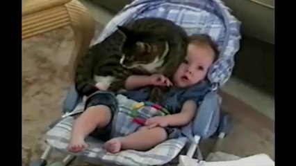 [+18 ~ Sexy Funny Girl]Cat Protects Baby