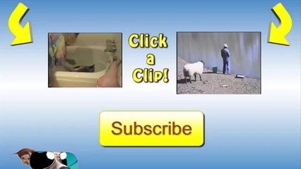 [+18 ~ Sexy Funny Girl]Funny Sound Dog