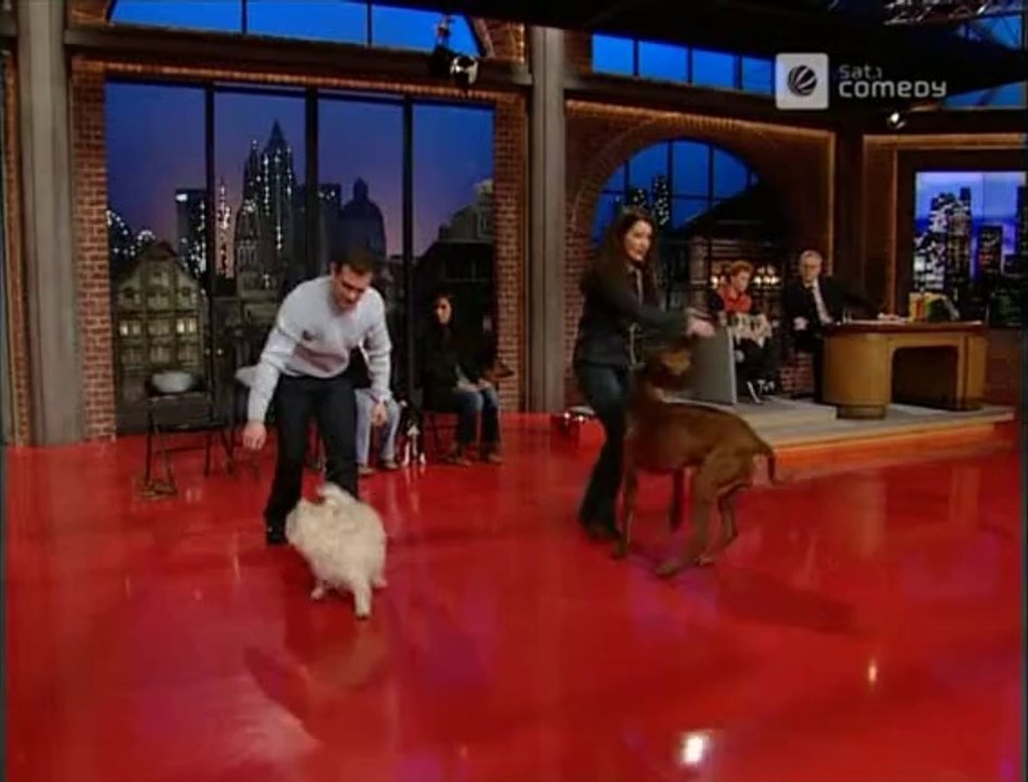 Die Harald Schmidt Show - 1053 - 2002-03-08 - Felicitas Woll, Dog Dancing, Praktikant David