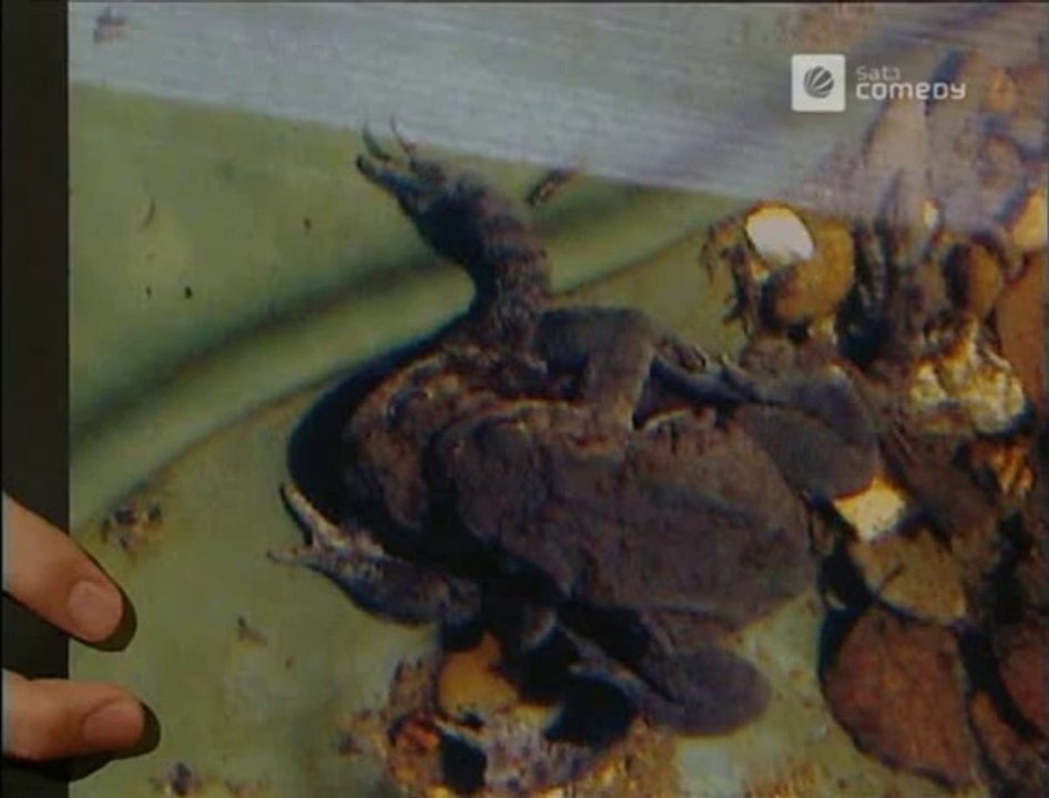 Die Harald Schmidt Show - 1061 - 2002-03-22 - Gentry Lane, Daniel Brühl, Helmuts Kröten