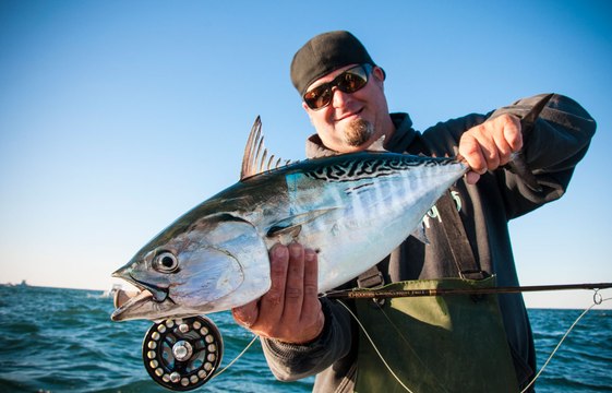 Hook Shots: The Montauk Blitzkrieg