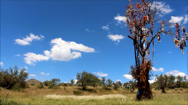 Le Voyage enchanté - Au pays des Aigles