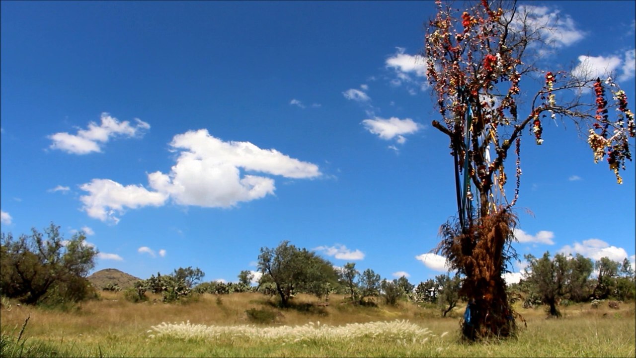 Le Voyage enchanté - Au pays des Aigles