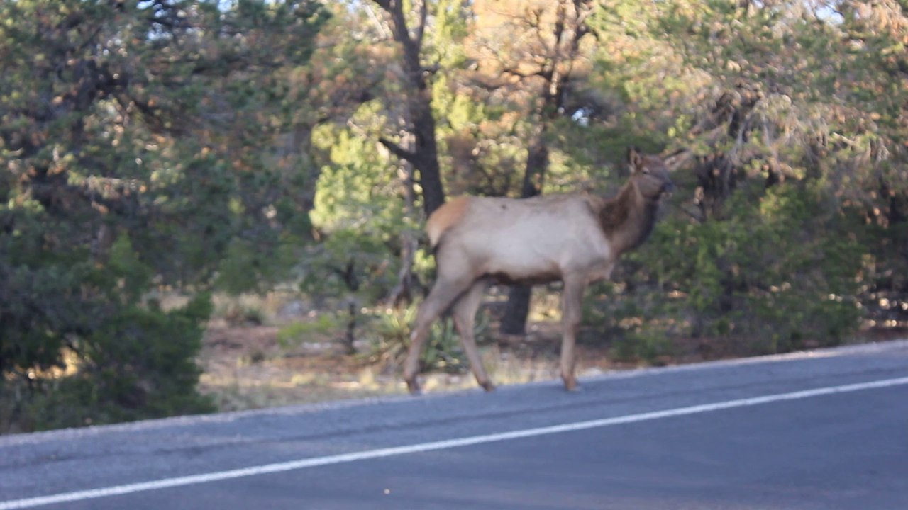 Biche Grand Canyon