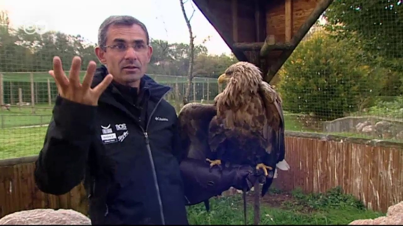 Euromaxx highlights | euromaxx