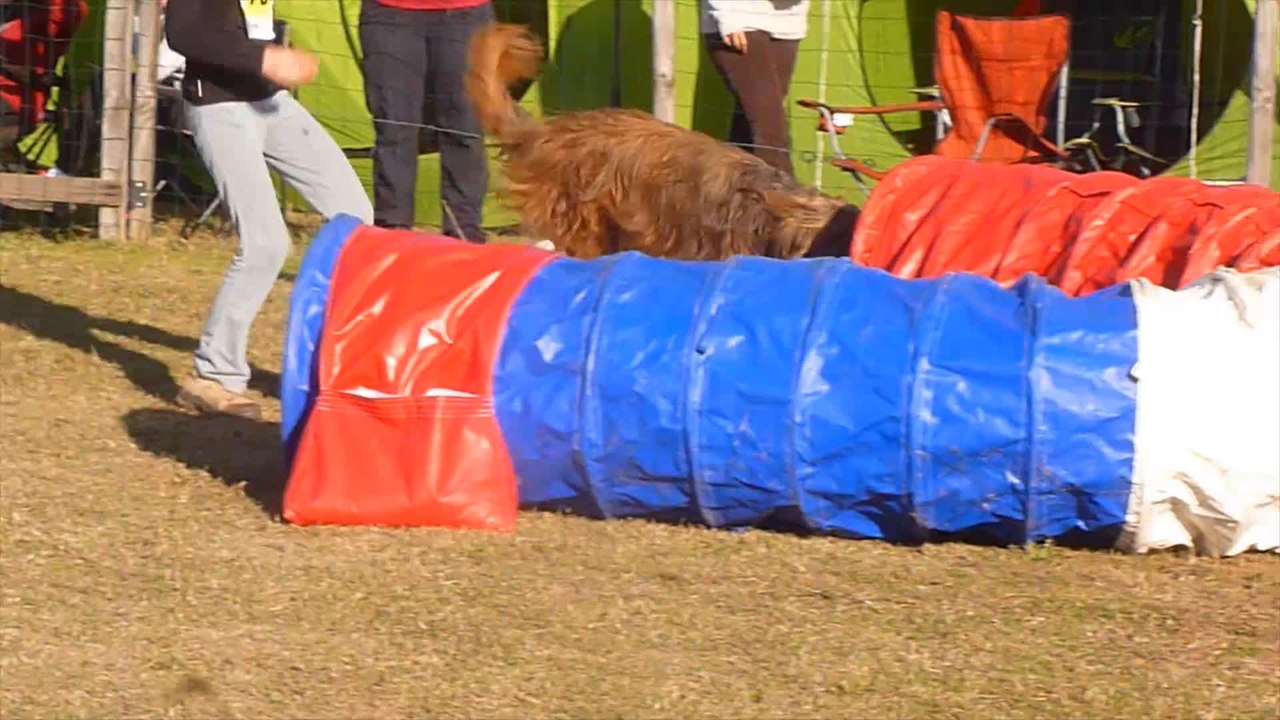 Csali, 1er degrés de Mours, octobre 2014