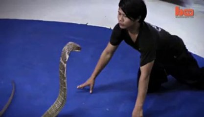 Man kissed a King Cobra watch video.