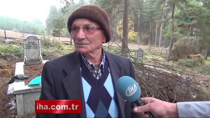 Ayılar mezardan çıkardıkları insan cesedini yediler