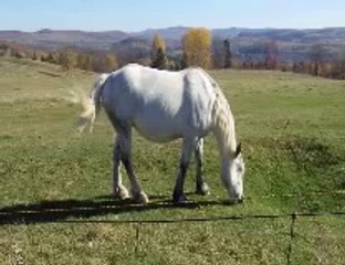 CANADIAN RADIO HALL OF FAME