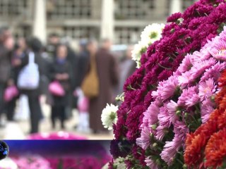 La crémation, dernier combat des écolos, bientôt encore moins polluante