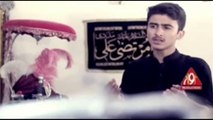 Syed Ali Hamza Naqvi Nohay 2015 Promo