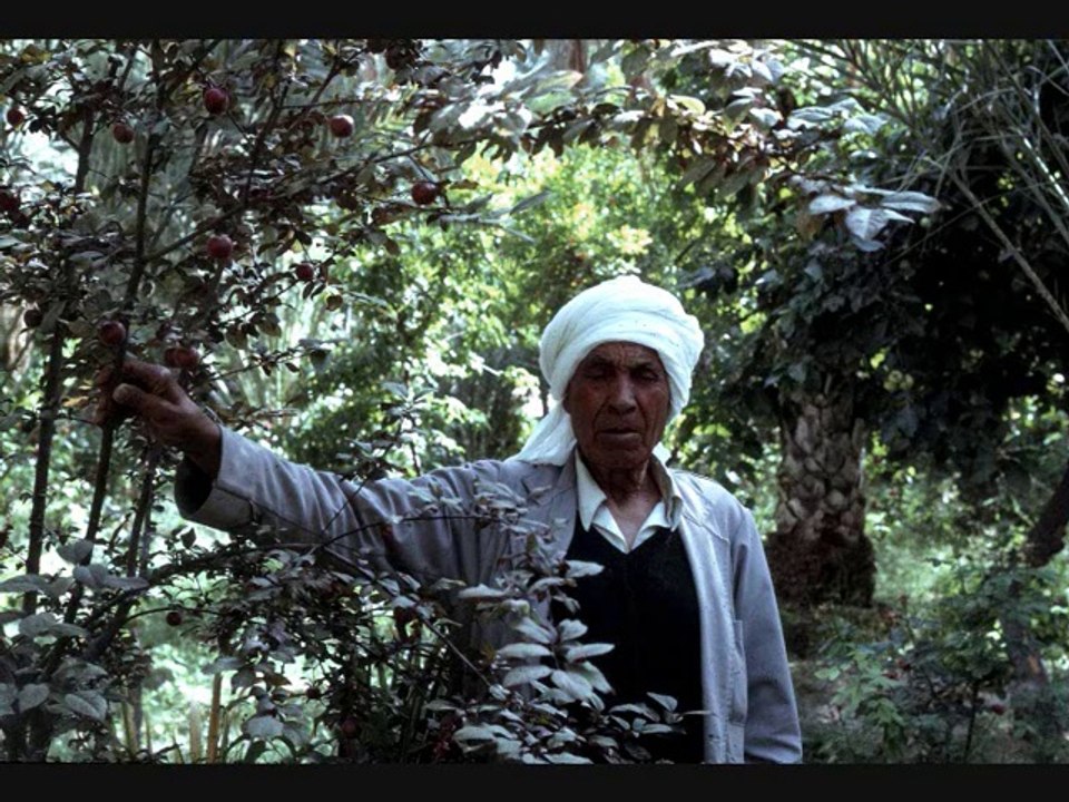 Tozeur 1974 : 'OASIS' (version améliorée 2014)