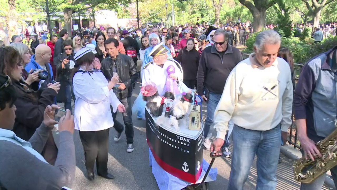 Parade d'Halloween pour chiens à New York