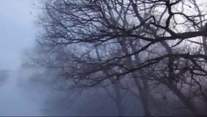 愛の行方 大貫妙子