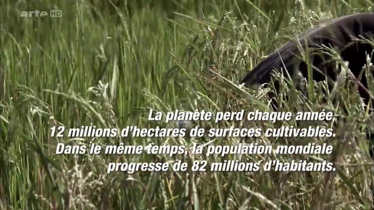 HUNGER - La Faim [HD] (2/2)