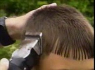 clippers in action short clip