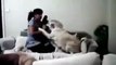 Dog saves a girl when mum trys to beat her, very interesting clip, must watch