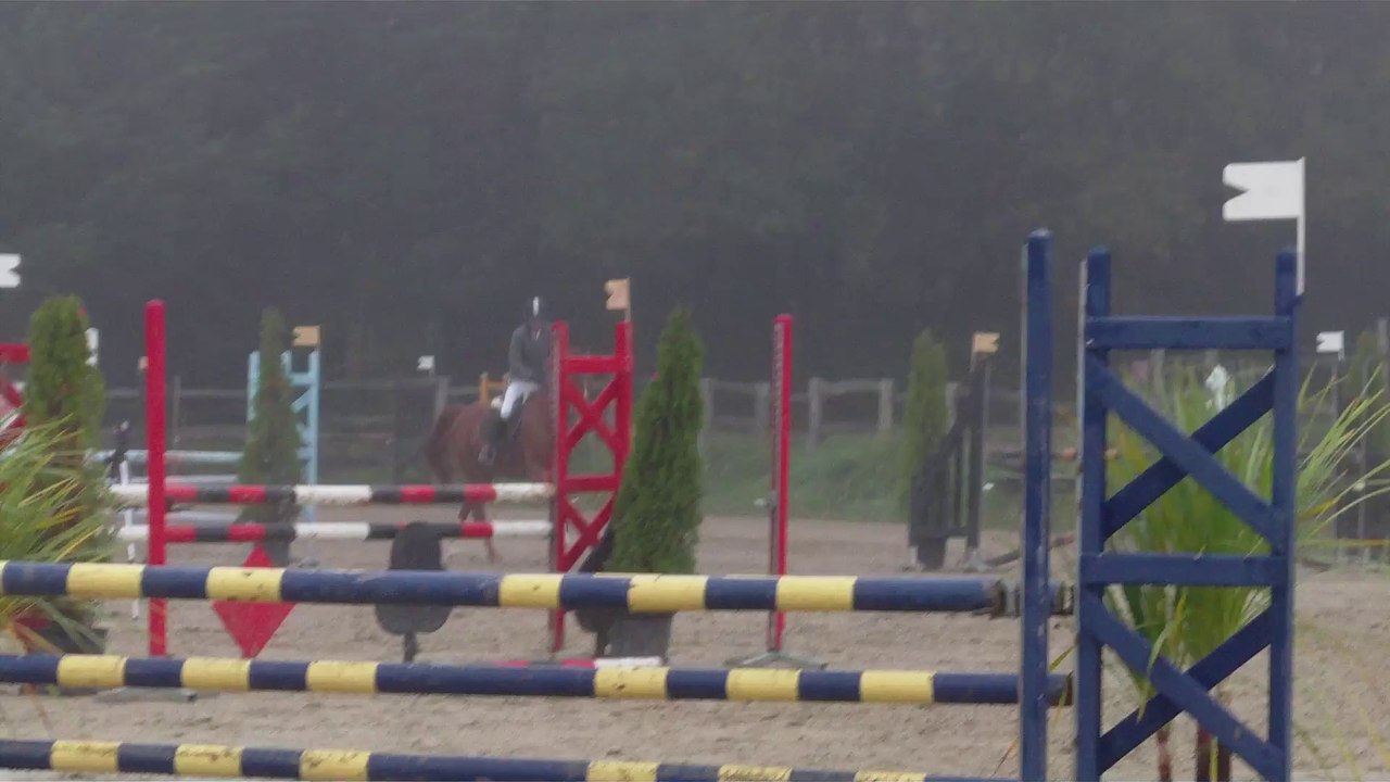 gold horse ball oct 2014