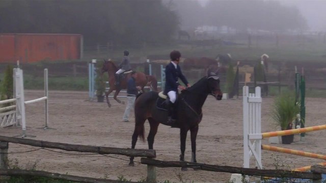 gold horse ball oct 2014