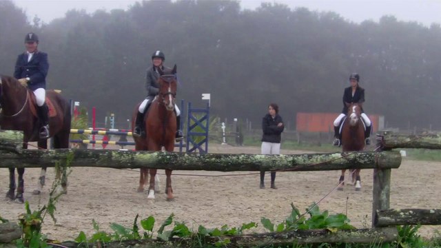 gold horse ball oct 2014