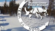 2014 Entrainement pour Amundsen race course de chien de traineau longue distance en suède