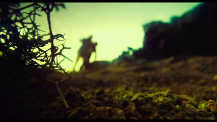 In The Heart Of The Sea  - Chris Hemsworth