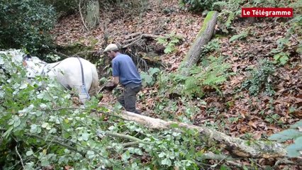 Paimpol. La nature a bon goût à Beauport