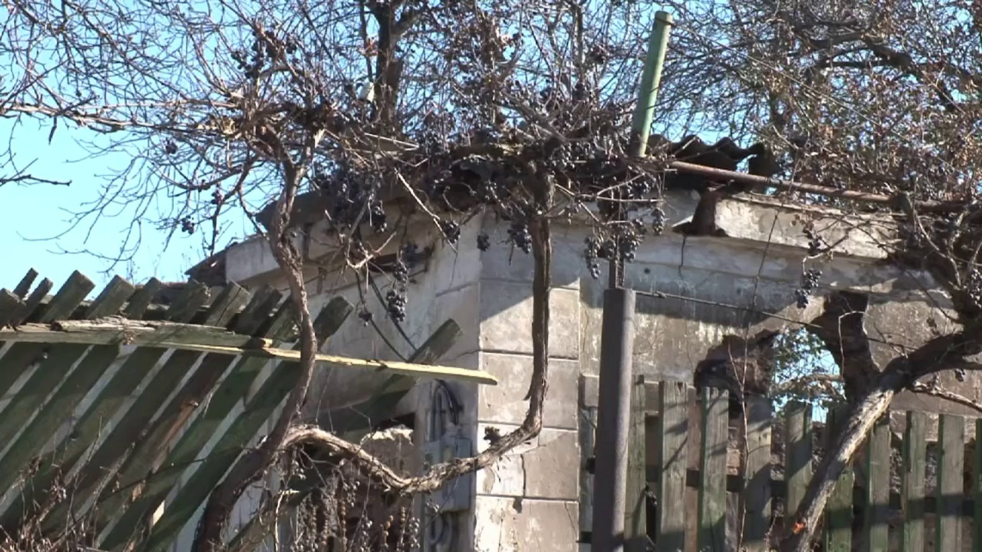 Divided Ukraine votes under shadow of war