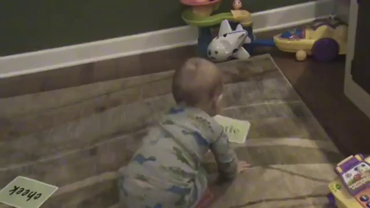 16 months Baby Knowledge