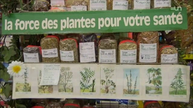 Tisanes et plantes