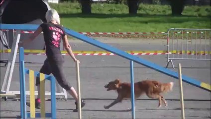 Eclipse Concours de Chateaubriant 2014-10-26