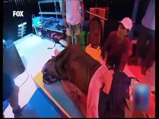 42 Saat Aralıksız Yüzerek Rekor Kırdı Karaya çıkınca Yürüyemedi