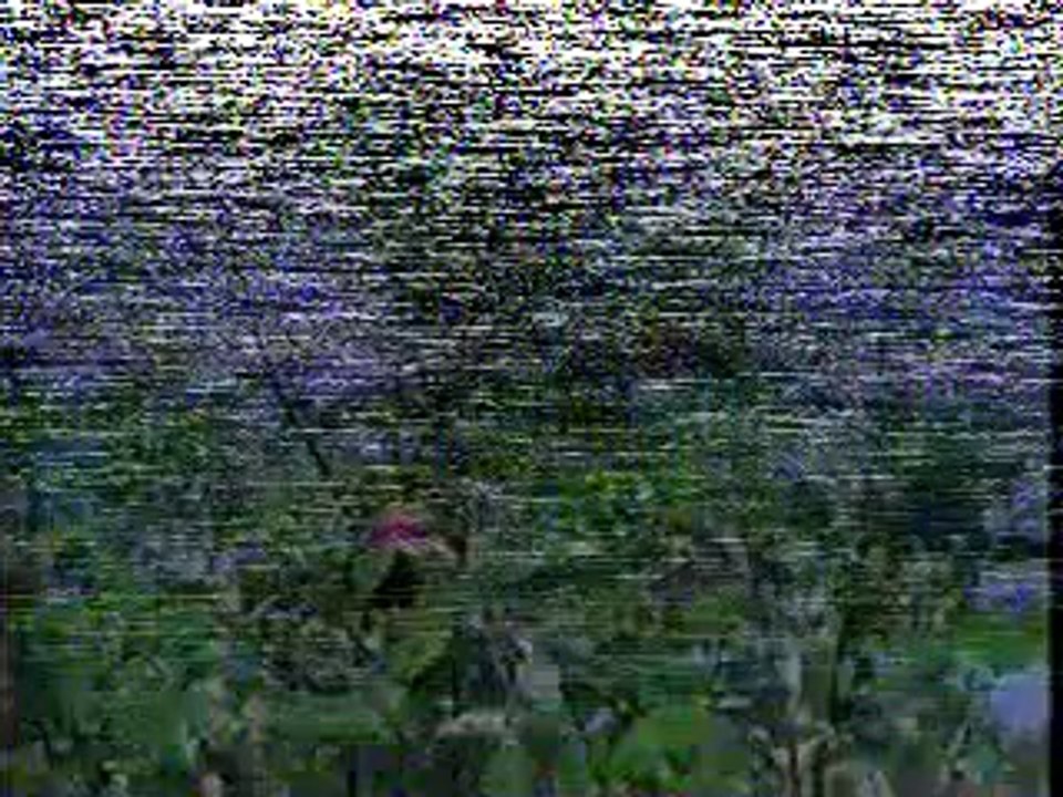 Classic Sesame Street film - Look a little closer (Apple Tree)