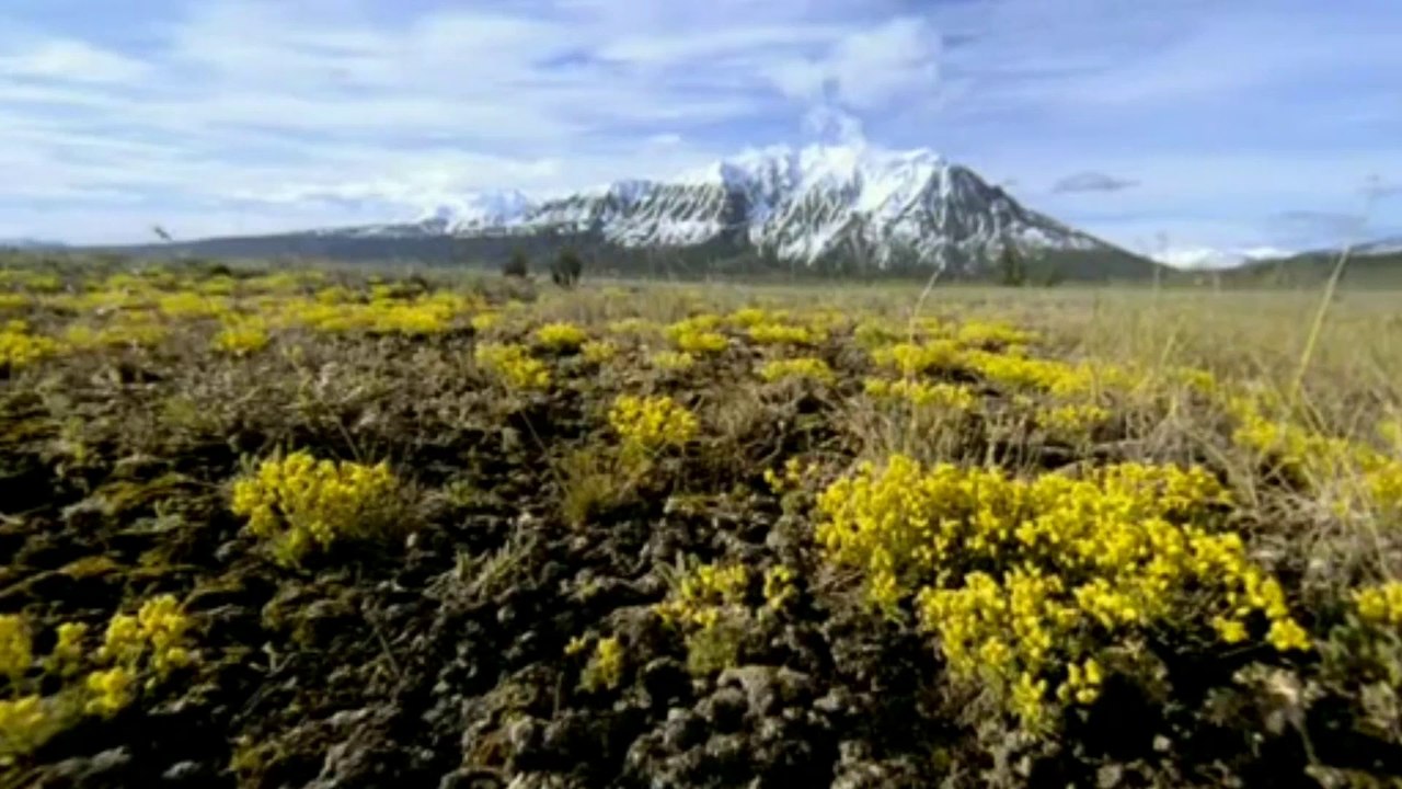 Sur la terre des dinosaures (1999) - Episode 5/8: le mammouth et l'homme