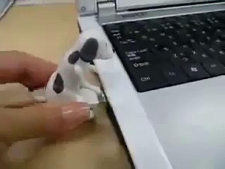 USB , hahaahahahahaa