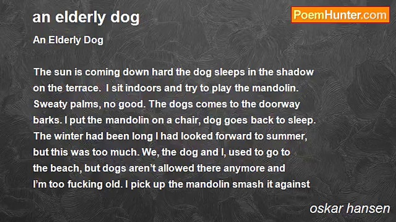 oskar hansen - an elderly dog