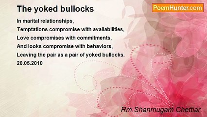 Rm.Shanmugam Chettiar. - The yoked bullocks