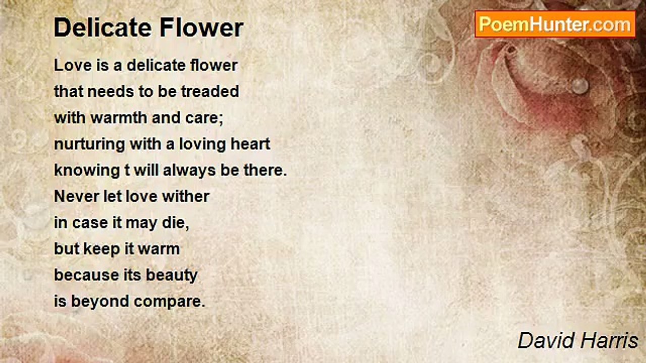 David Harris - Delicate Flower