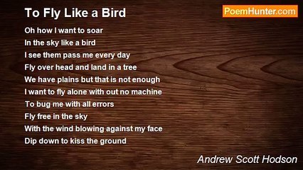 Andrew Scott Hodson - To Fly Like a Bird