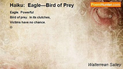 Walterrean Salley - Haiku:  Eagle—Bird of Prey