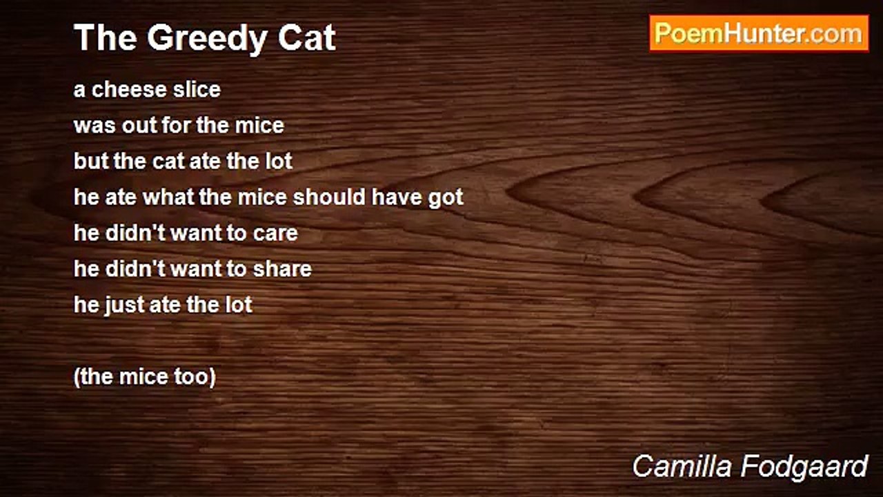 Camilla Fodgaard - The Greedy Cat