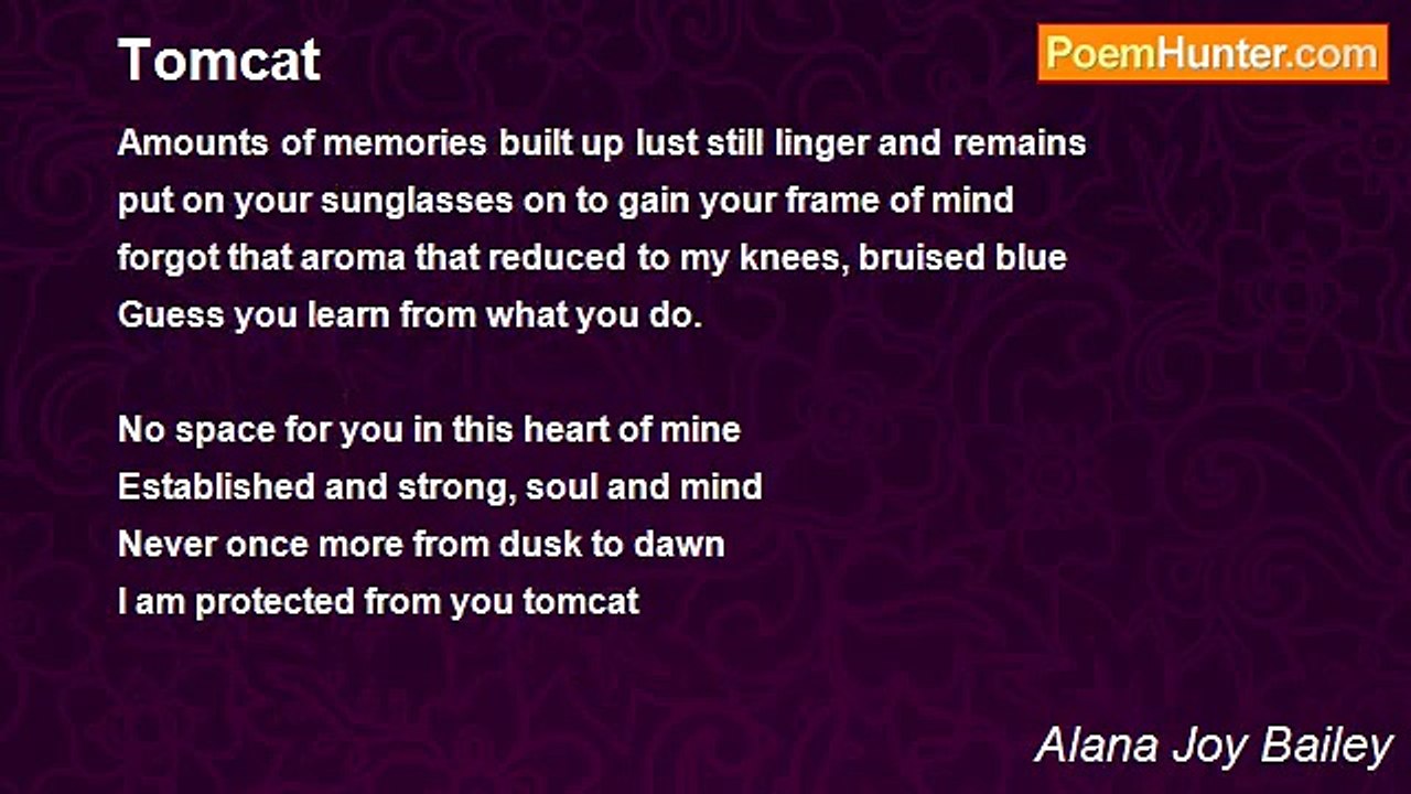 Alana Joy Bailey - Tomcat