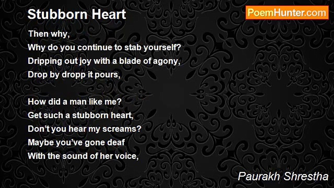 Paurakh Shrestha - Stubborn Heart