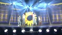 ヒマワリ -Growing Sunflower