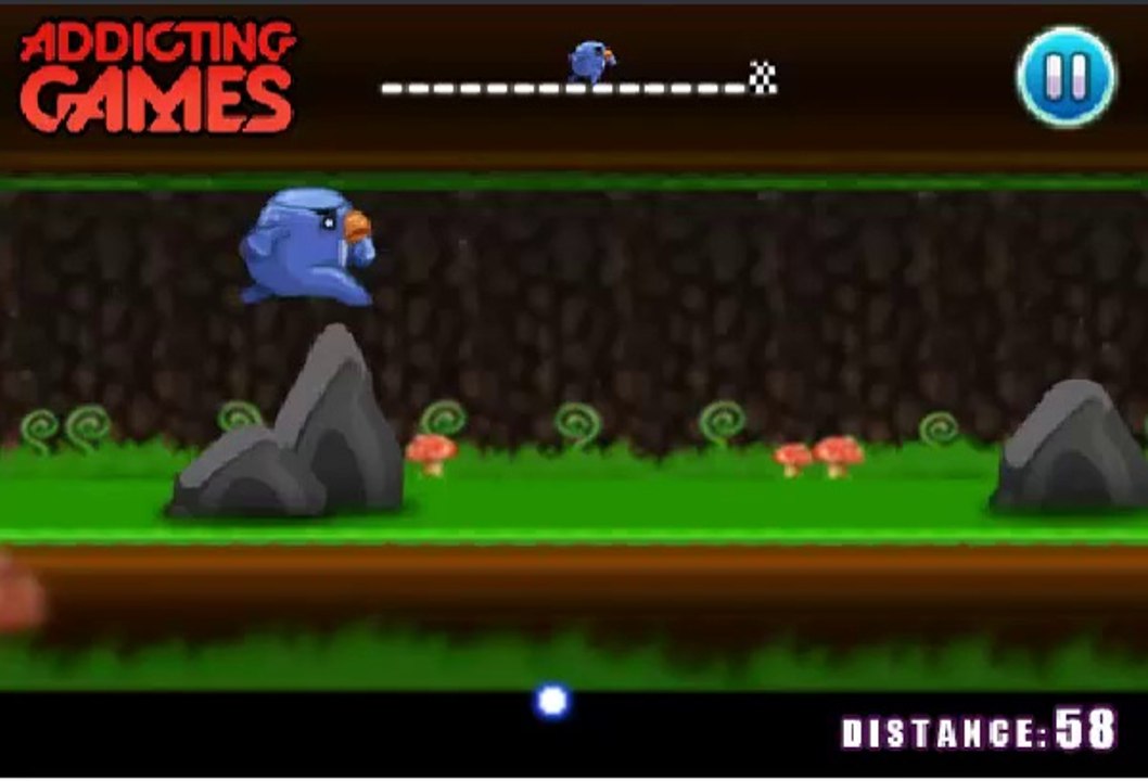 Run Bird Run