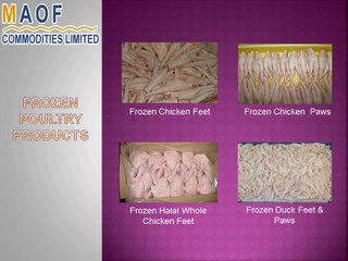 MAOF Commodities Ltd - Frozen Poultry Products, Refined Sunflower Oil, Sugar, Frozen Pork Parts, Dairy Products, Sea Food Manufacturer, Exporter and Supplier Company in Germany and Hungary