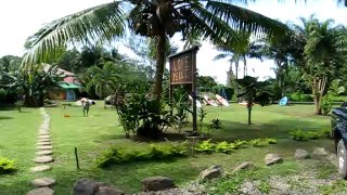 Mark's Place in Moorea, Tahiti is like Paradise for Brian Cometa