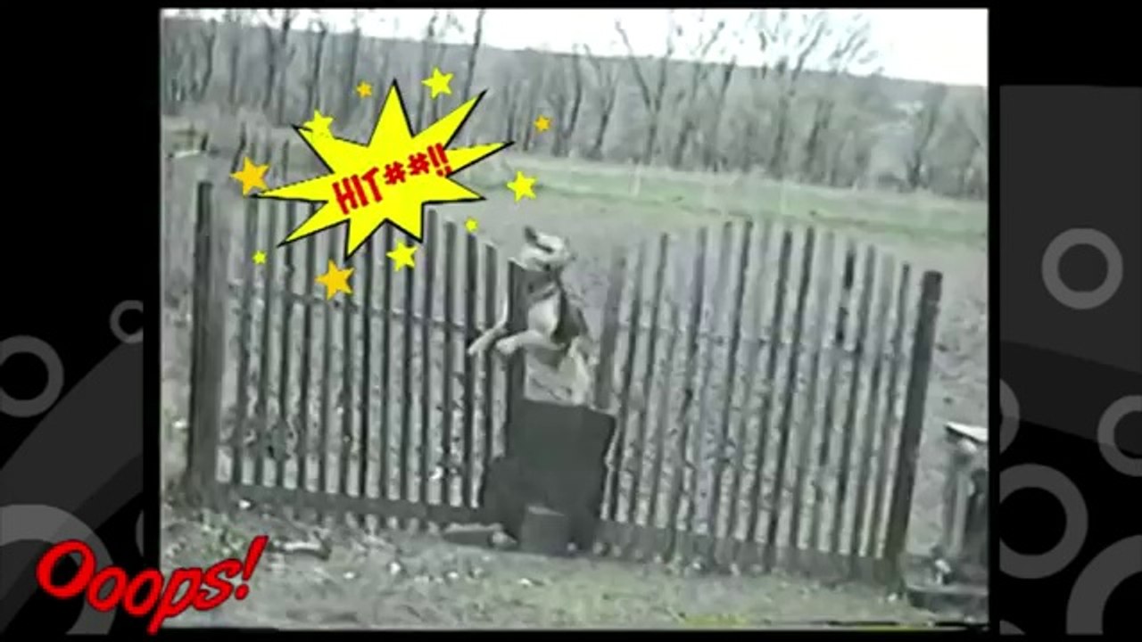 [+18 ~ Sexy Funny Girl]Pranks - Gags - Win - Fail.108
