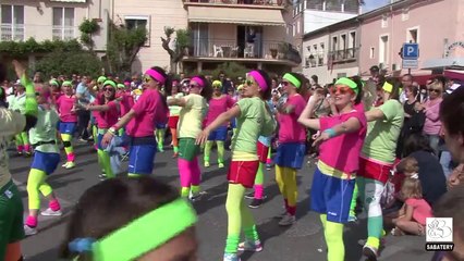 2014 - Mèze - Carnaval (première Partie)