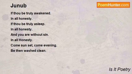 Is It Poetry - Junub